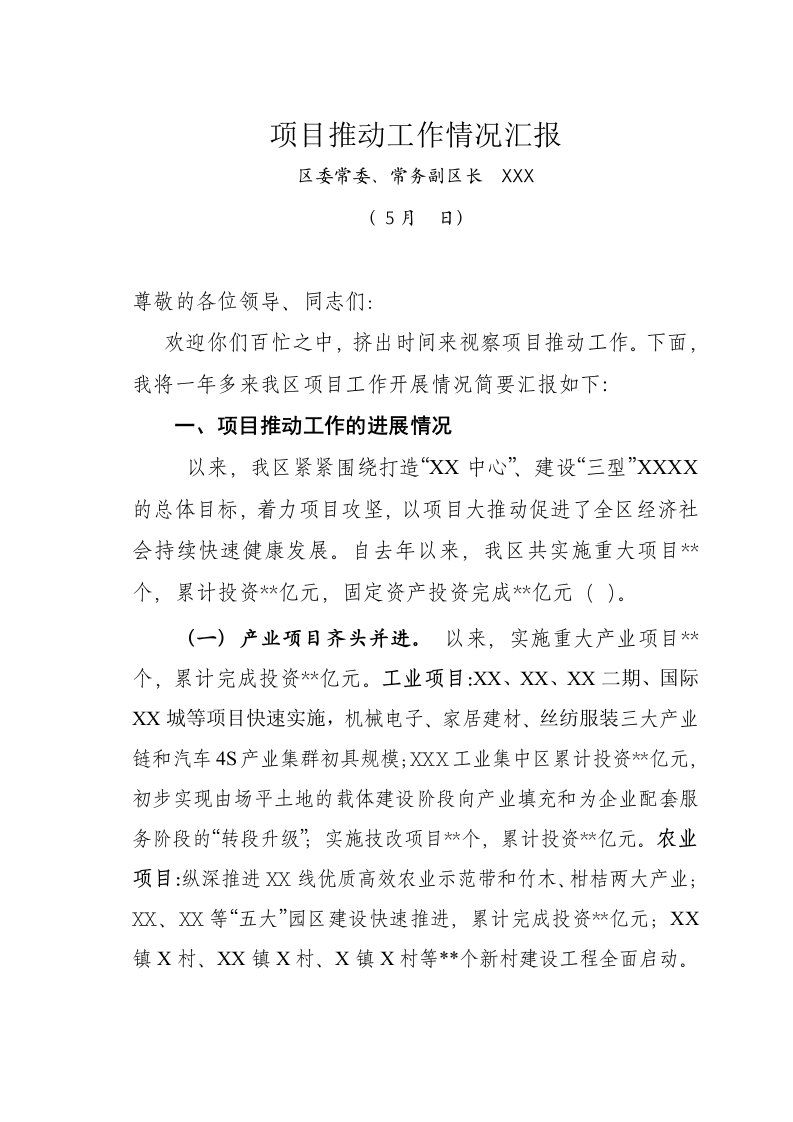 在全区人大常委会上对项目推动战略落实情况的汇报