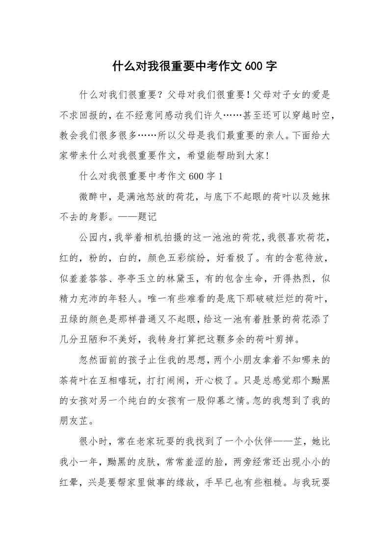 什么对我很重要中考作文600字