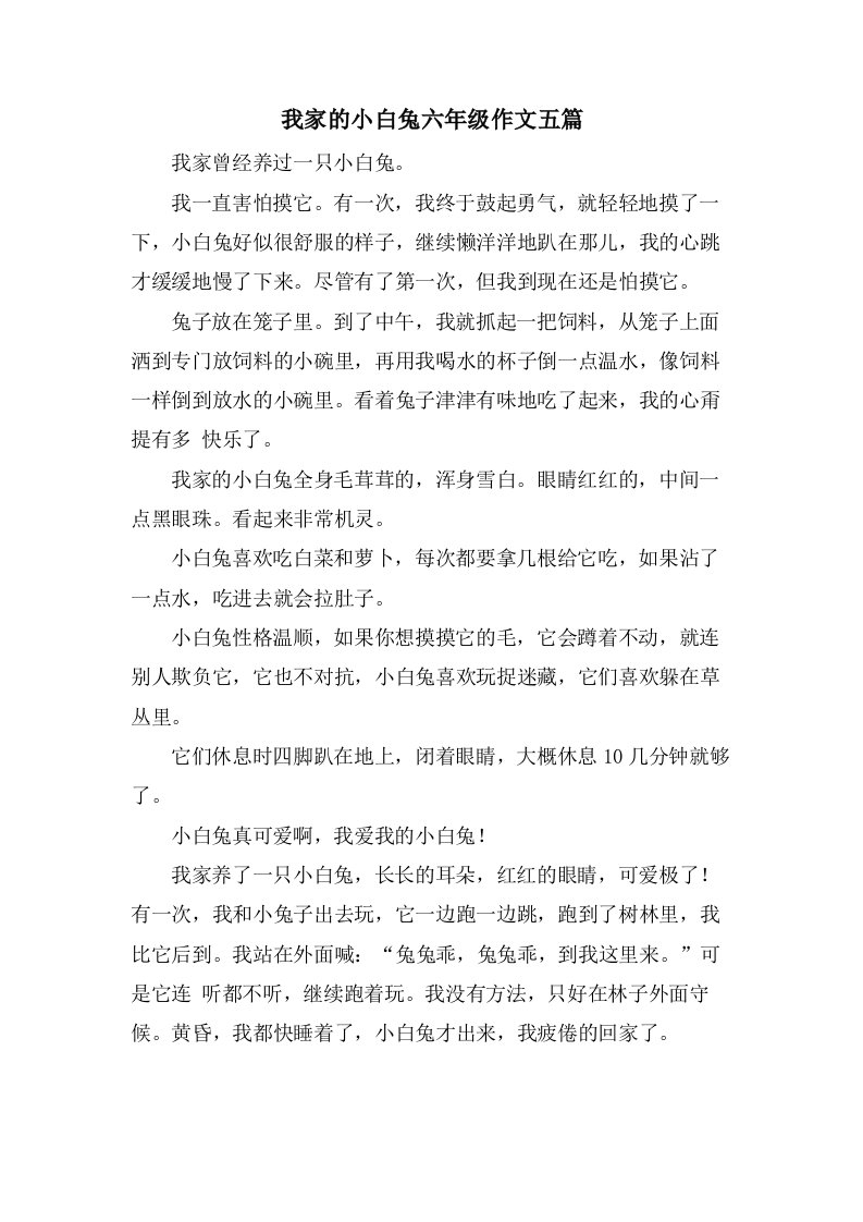 我家的小白兔六年级作文五篇