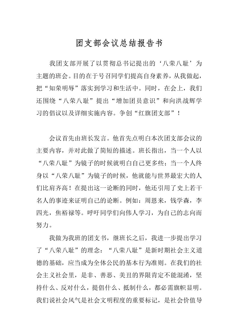 团支部会议总结报告书