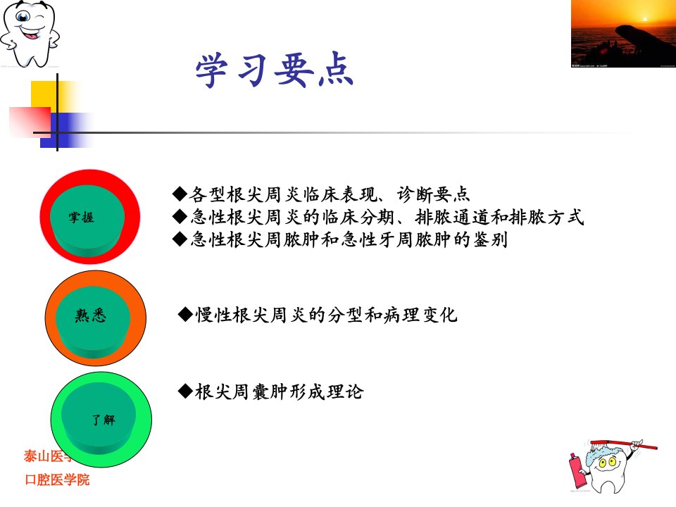 16章根尖周病的临床表现及诊断1