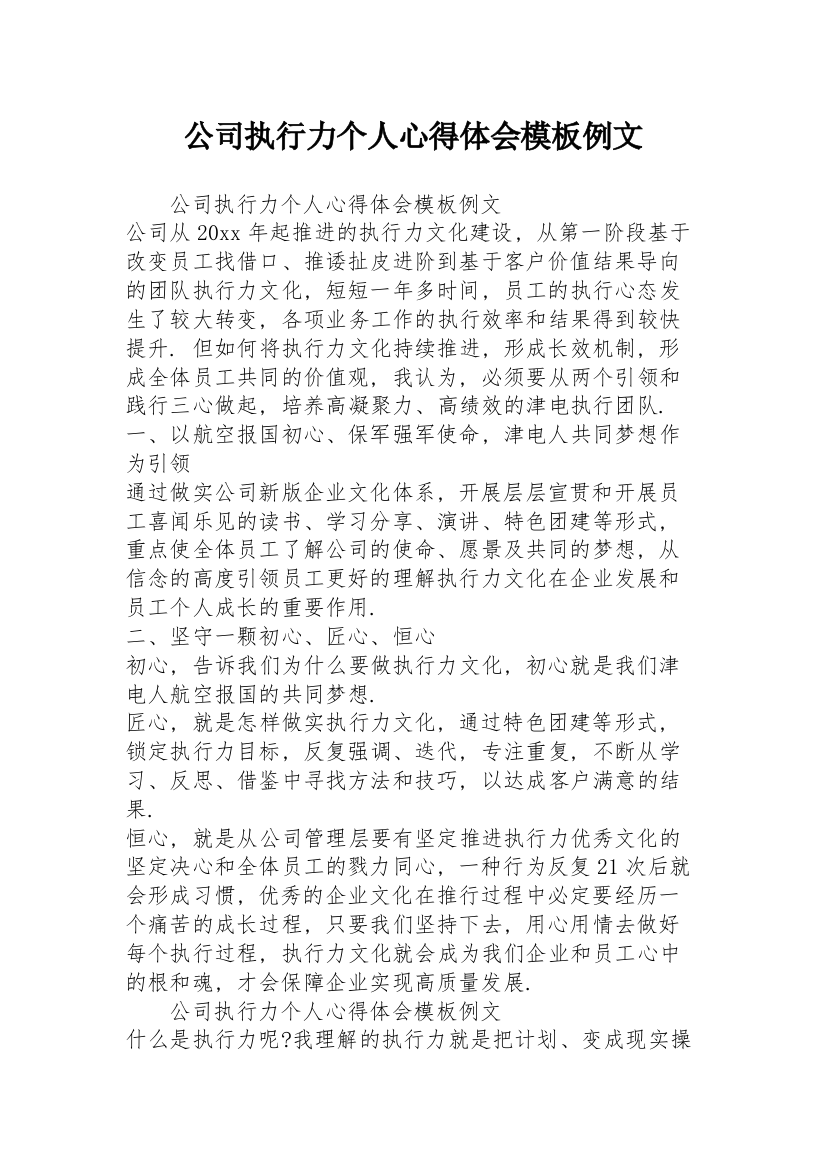 公司执行力个人心得体会模板例文