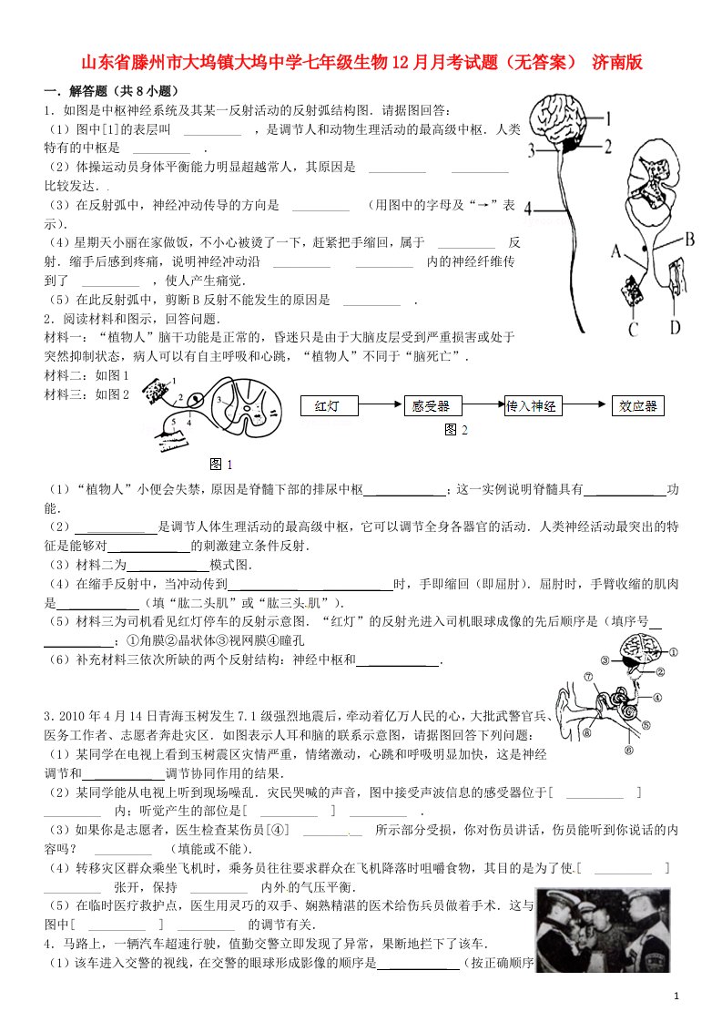 山东省滕州市大坞镇大坞中学七级生物12月月考试题（无答案）