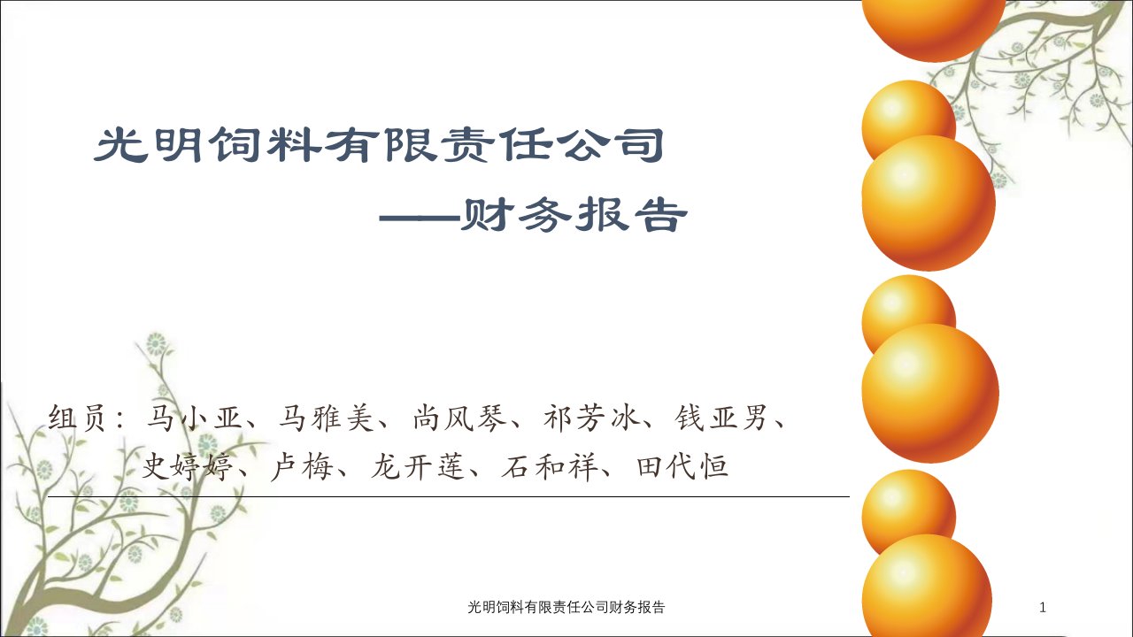 光明饲料有限责任公司财务报告课件