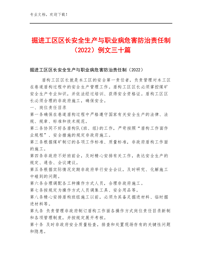 掘进工区区长安全生产与职业病危害防治责任制（2022）例文三十篇