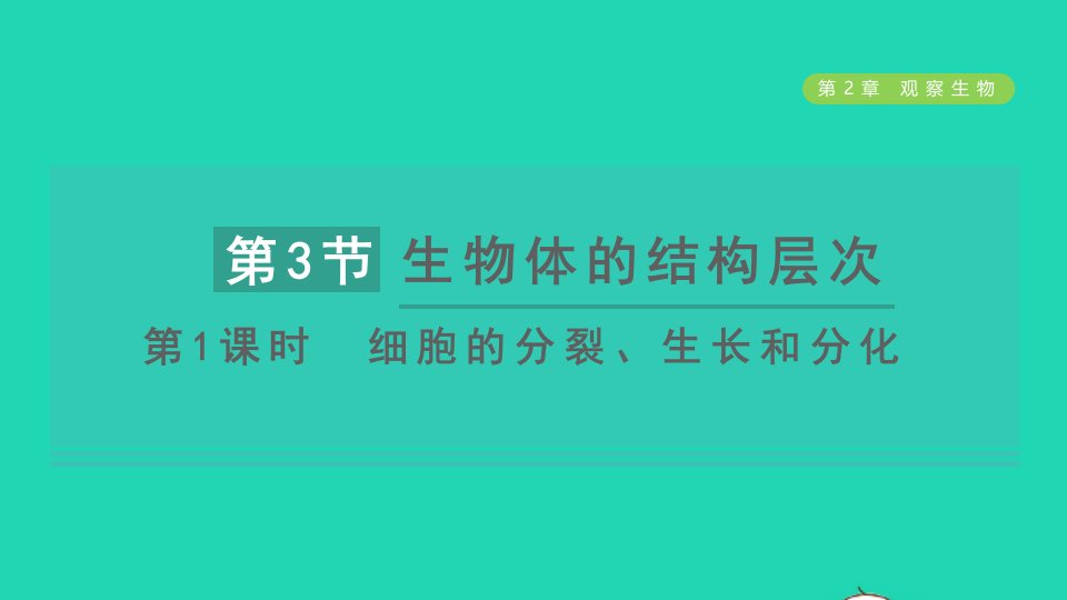 2021秋七年级科学上册第2章观察生物2.3生物体的结构层次第1课时细胞的分裂生长和分化习题课件新版浙教版