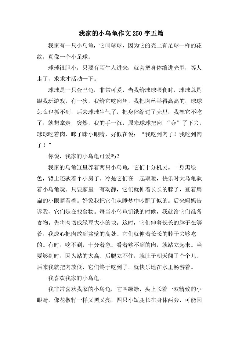 我家的小乌龟作文250字五篇