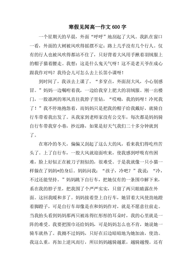 寒假见闻高一作文600字