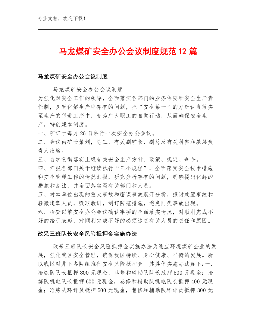 马龙煤矿安全办公会议制度规范12篇