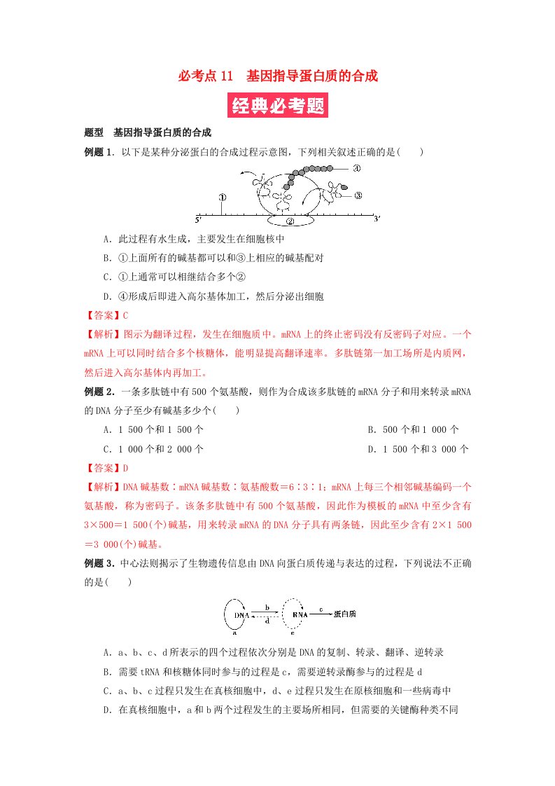 2023_2024学年高一生物下学期期末复习必考题精准练必考点11基因指导蛋白质的合成教师版新人教版必修2