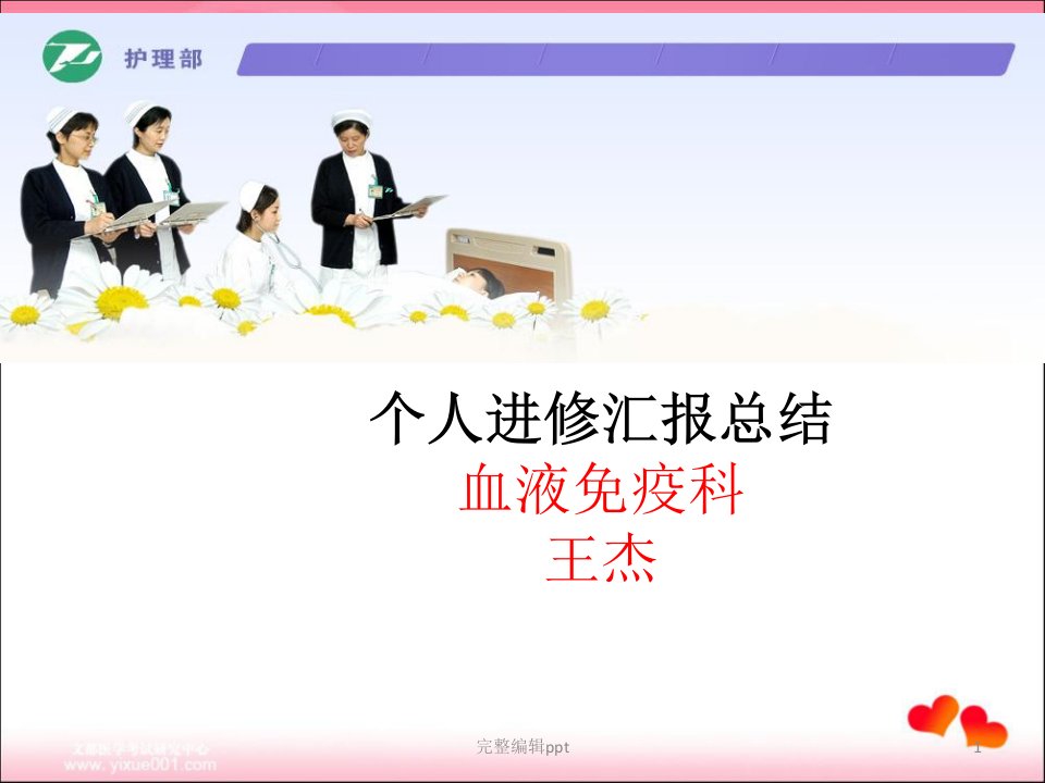 个人进修汇报总结(ppt)