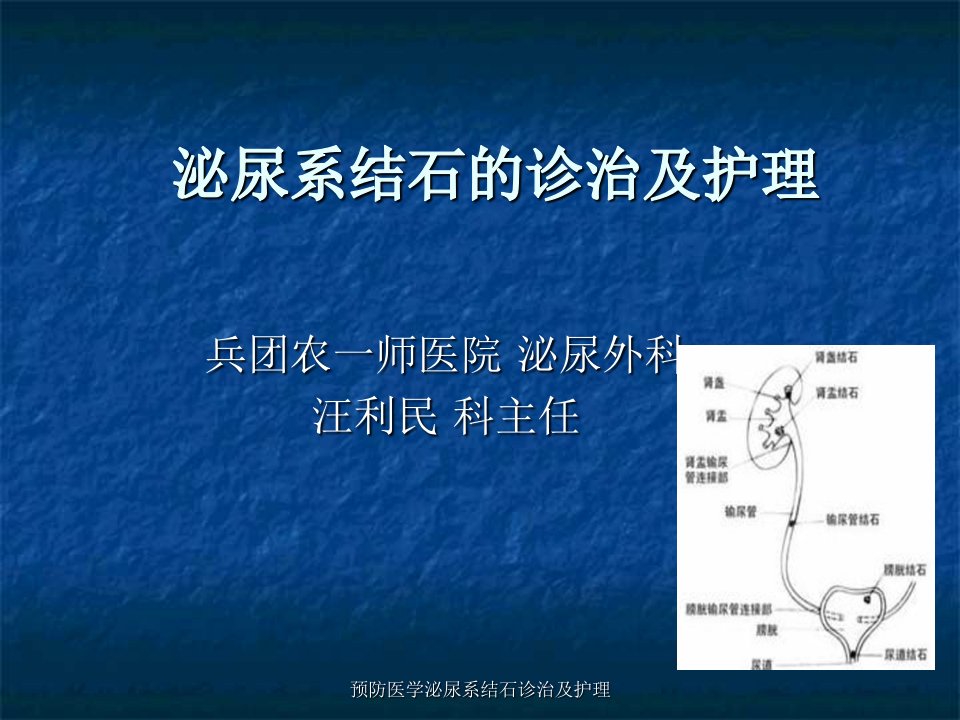 预防医学泌尿系结石诊治及护理课件