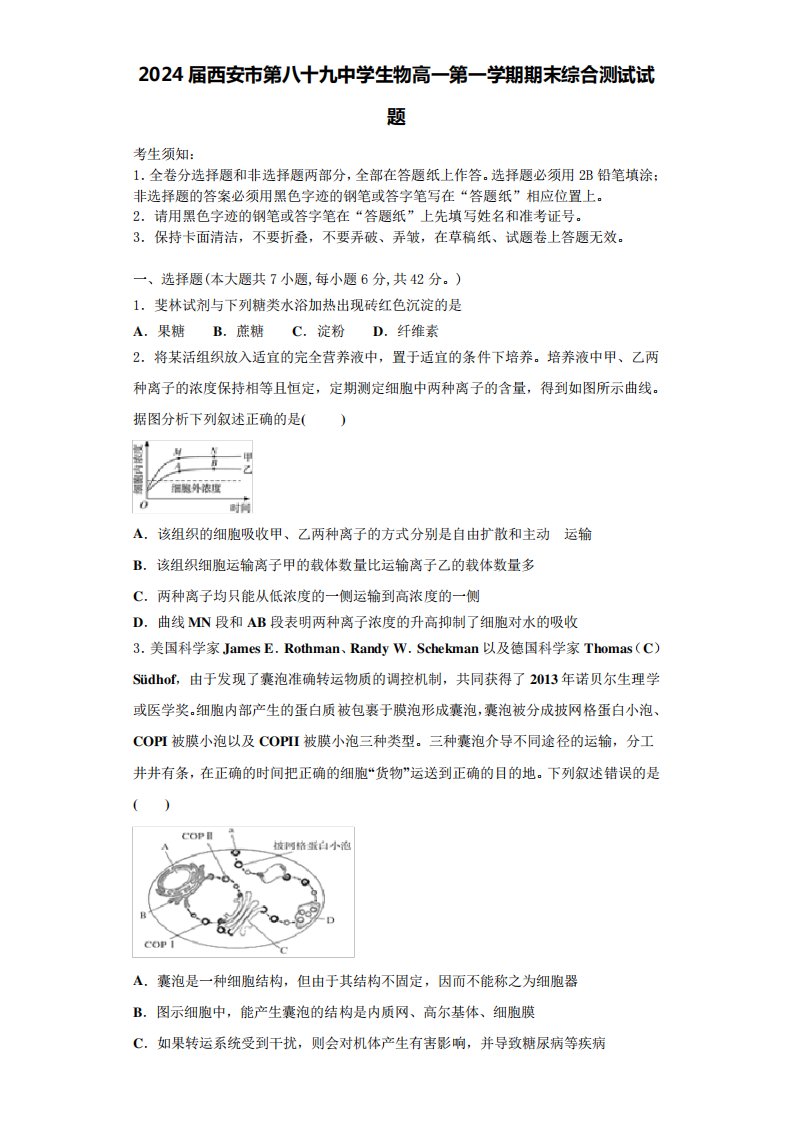 2024届西安市第八十九中学生物高一第一学期期末综合测试试题含解析163