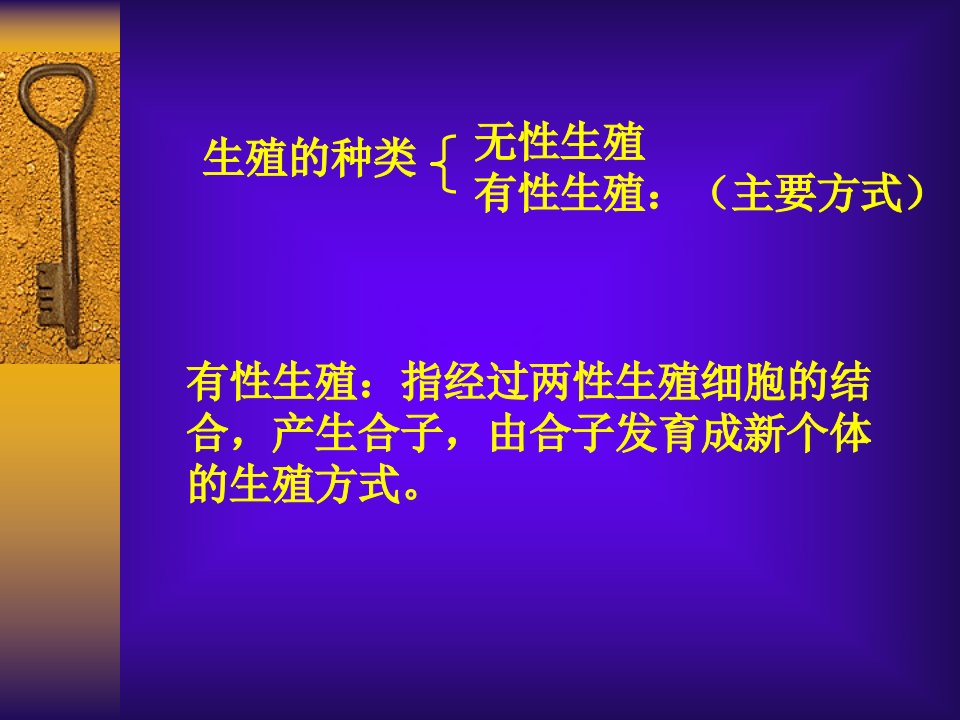 减数分裂与全面版课件