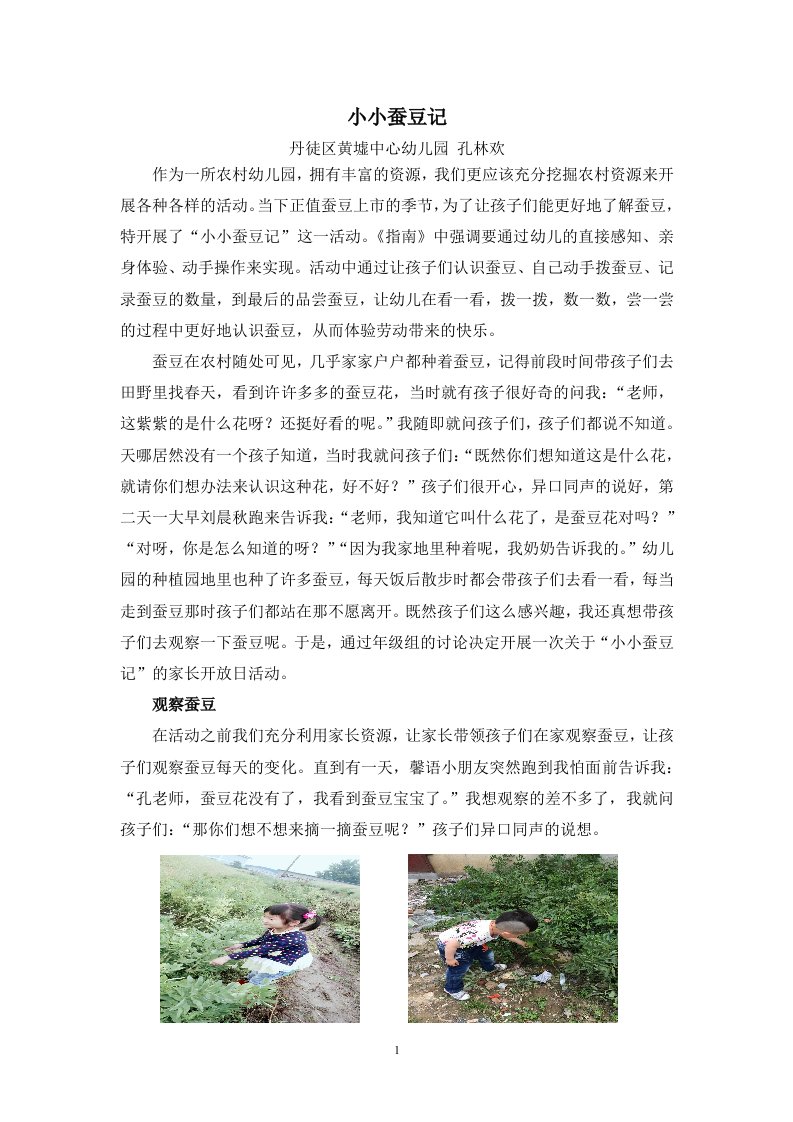 我的课程故事——小小蚕豆记