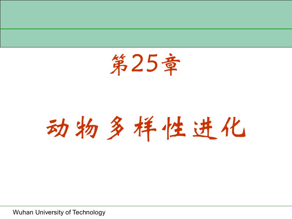 动物多样性进化