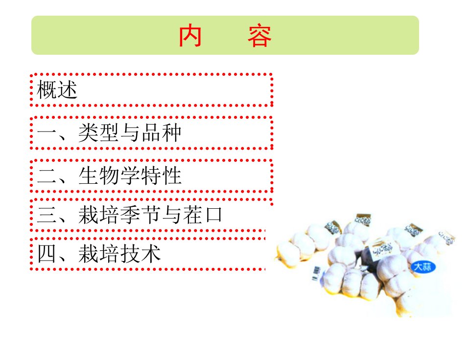 大蒜栽培技术课件共57页