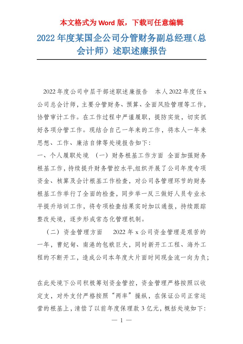 2022年度某国企公司分管财务副总经理（总会计师）述职述廉报告