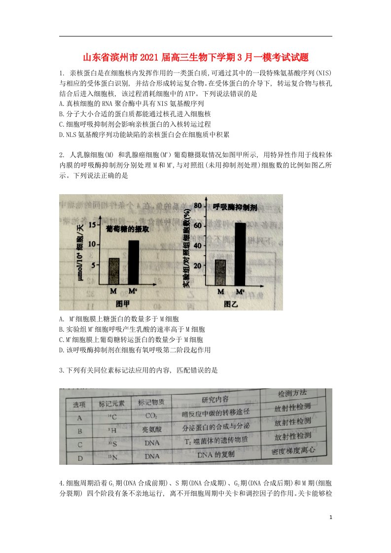 山东省滨州市2021届高三生物下学期3月一模考试试题