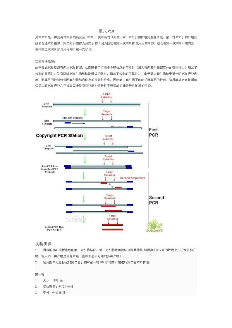 巢式PCR实验原理