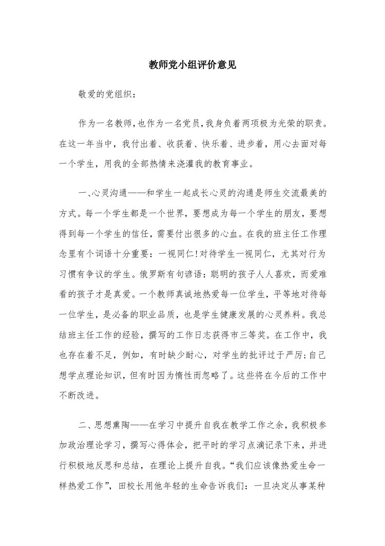 教师党小组评价意见