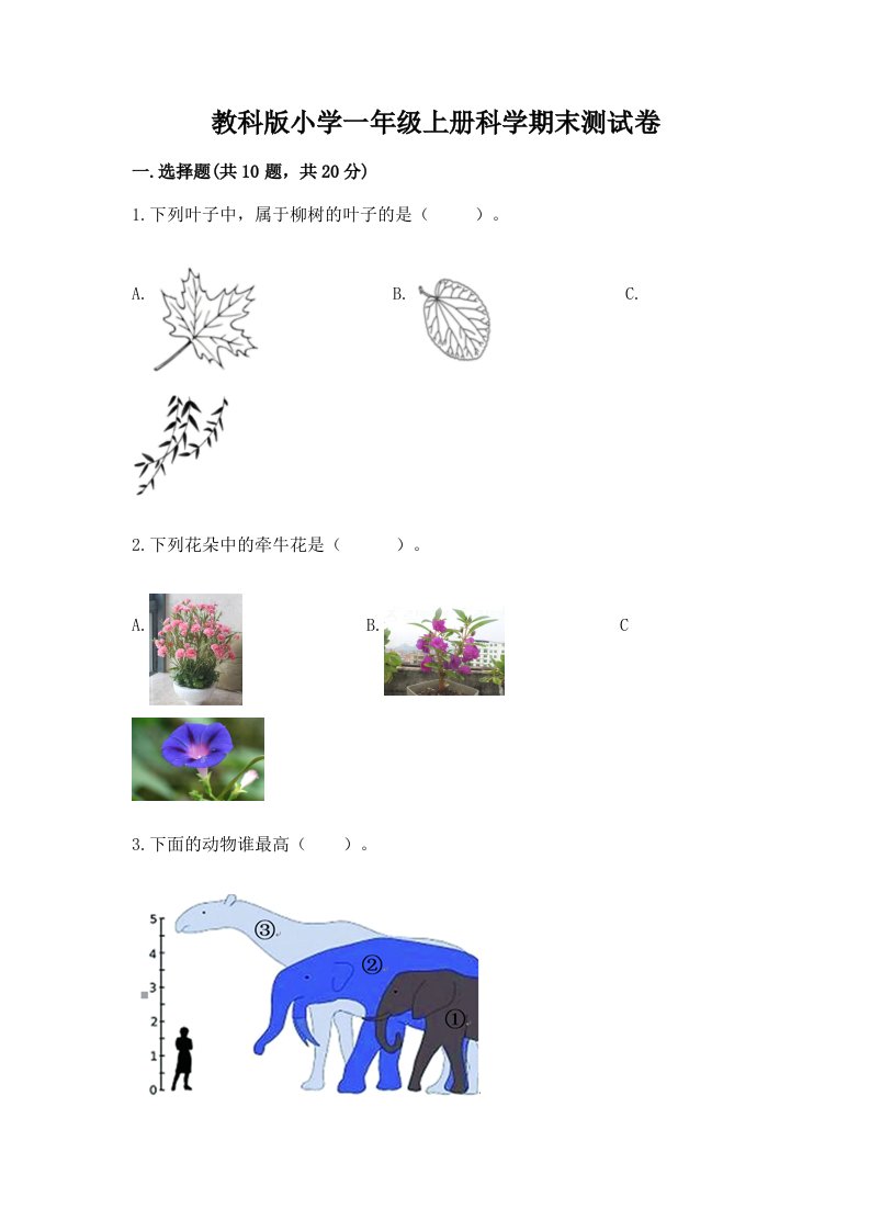 教科版小学一年级上册科学期末测试卷（历年真题）