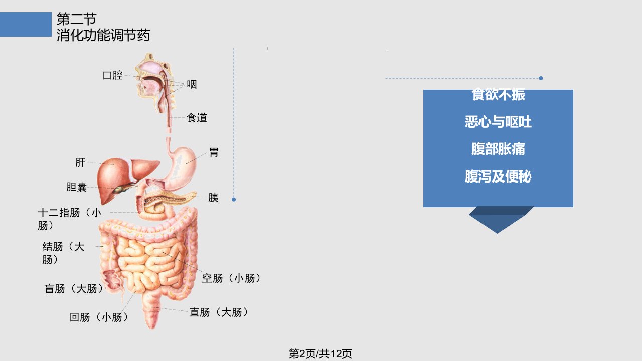 药理学作用于消化系统的药物