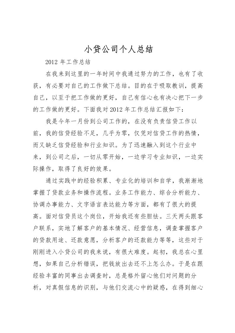 2022小贷公司个人总结