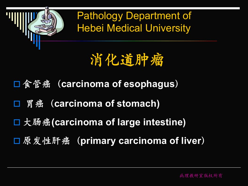 《消化系统常见肿瘤》PPT课件