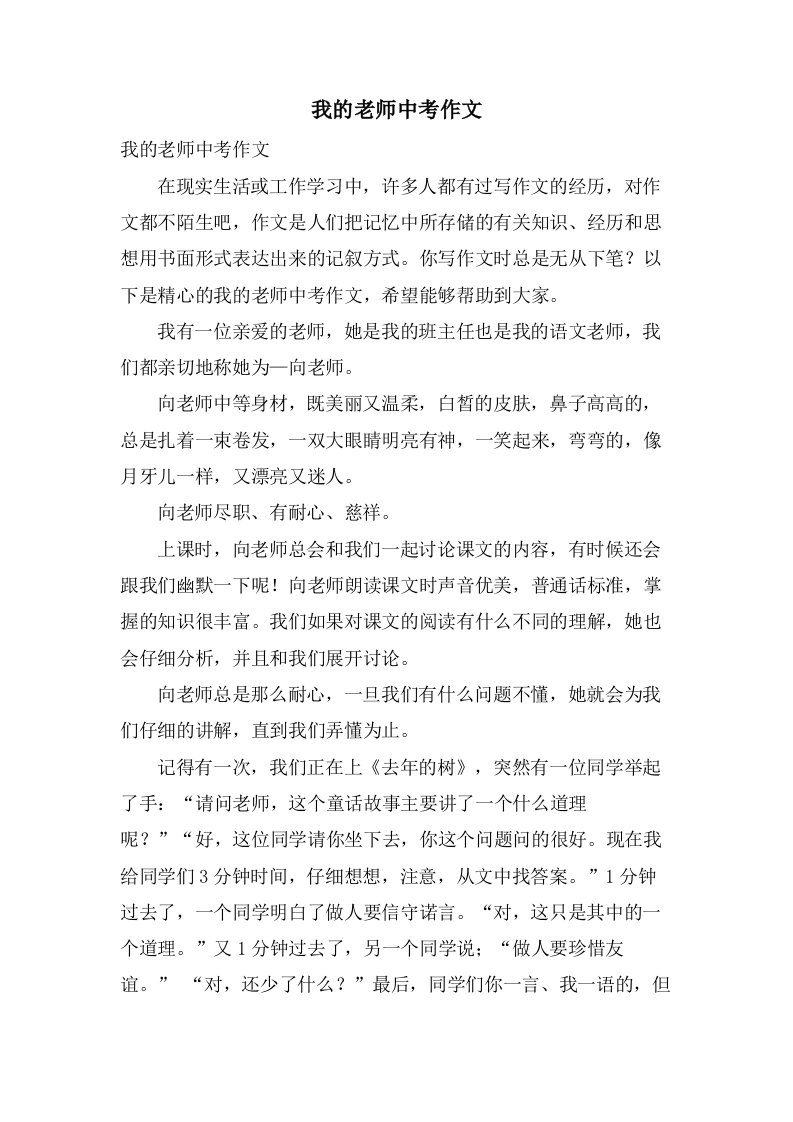 我的老师中考作文