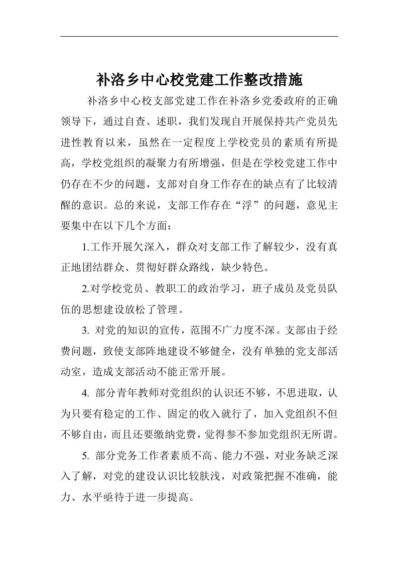 补洛乡中心校党建工作整改措施