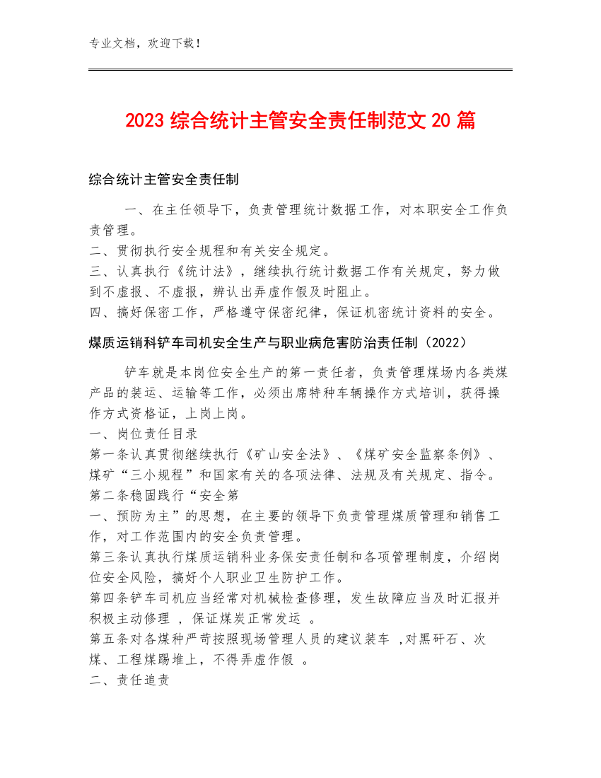 2023综合统计主管安全责任制范文20篇