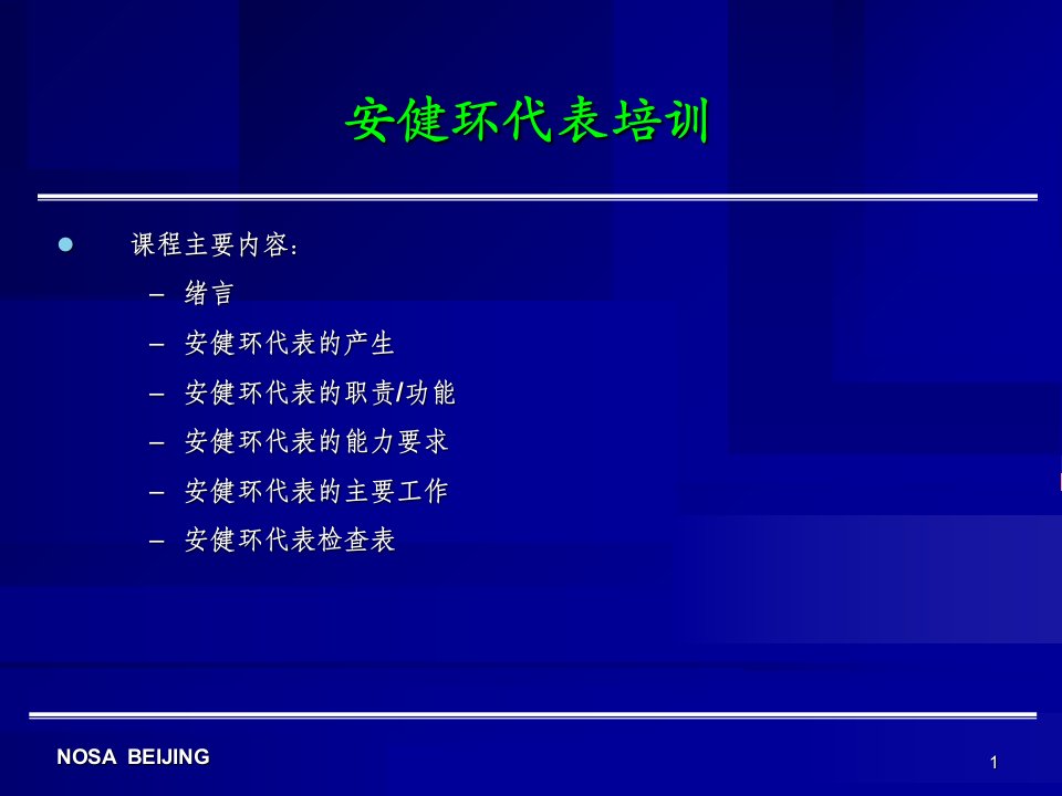 NOSA安健环代表培训