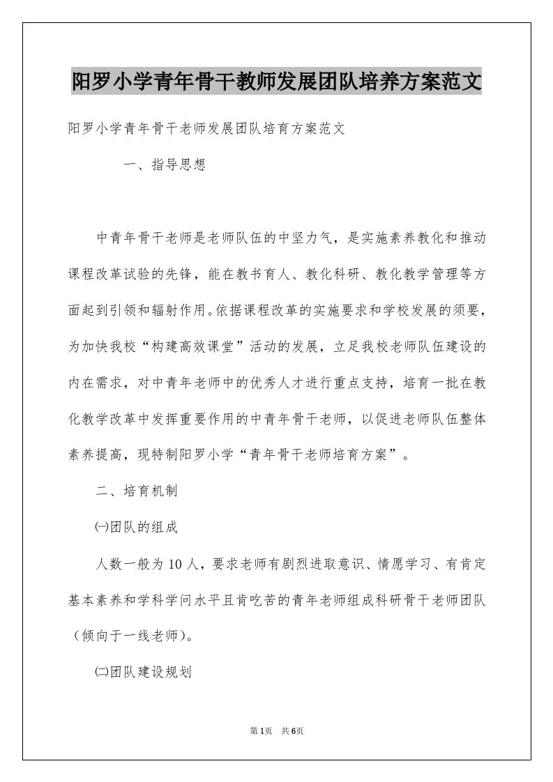 阳罗小学青年骨干教师发展团队培养方案范文