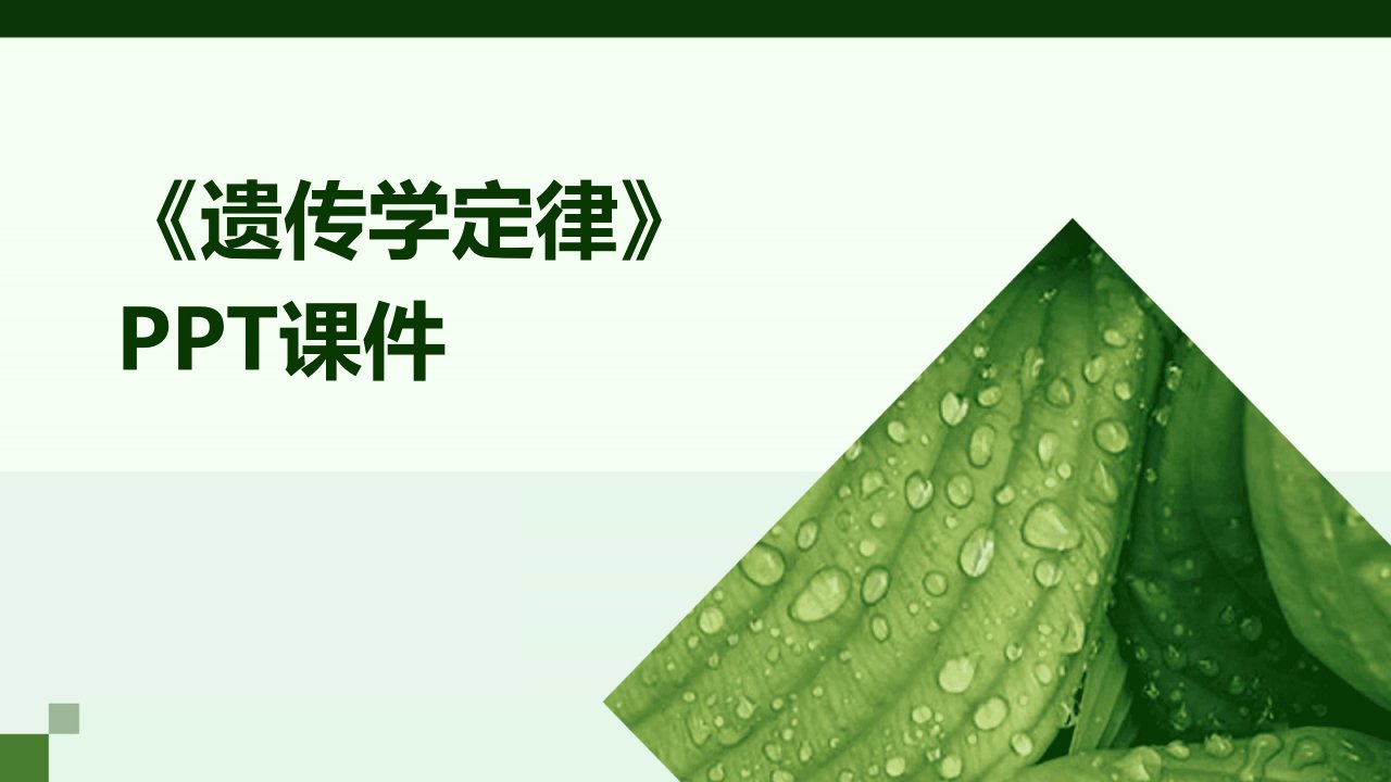 《遗传学定律》课件