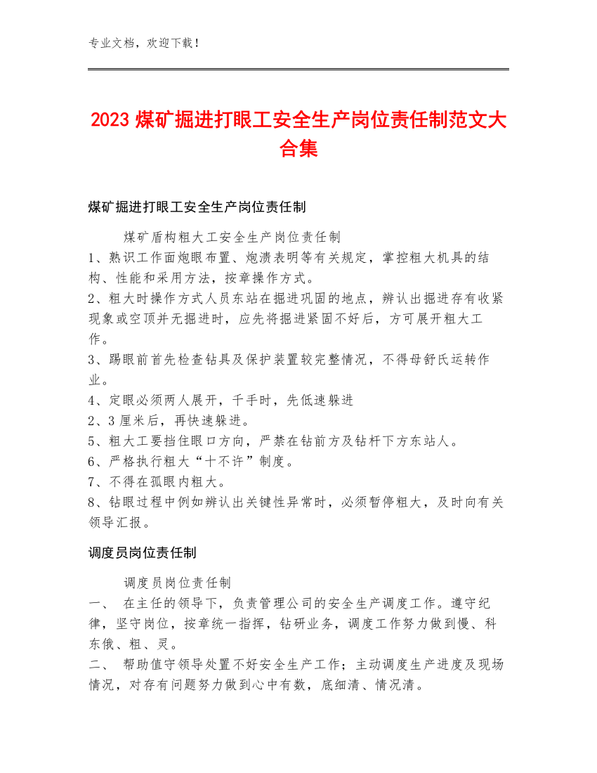 2023煤矿掘进打眼工安全生产岗位责任制范文大合集