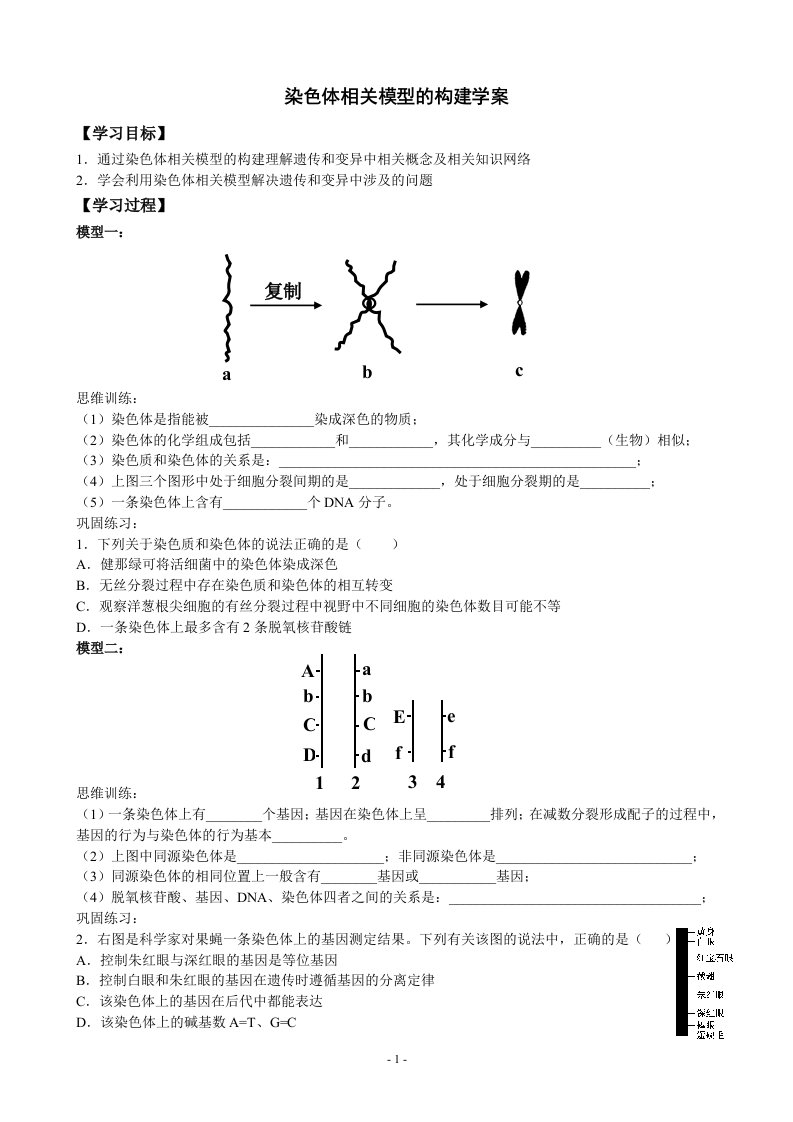 高考生物专题复习：染色体相关模型的构建（学案及课后检测）（学生用）