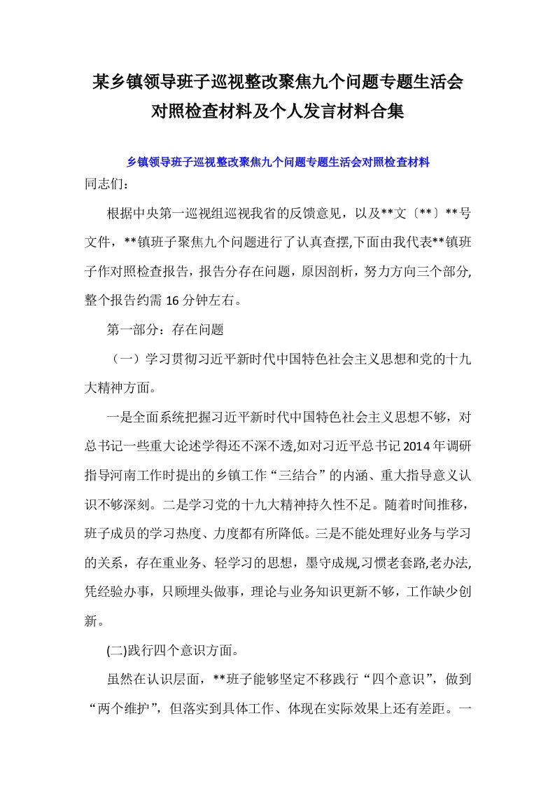 某乡镇领导班子巡视整改聚焦九个问题专题生活会对照检查材料及个人发言材料合集