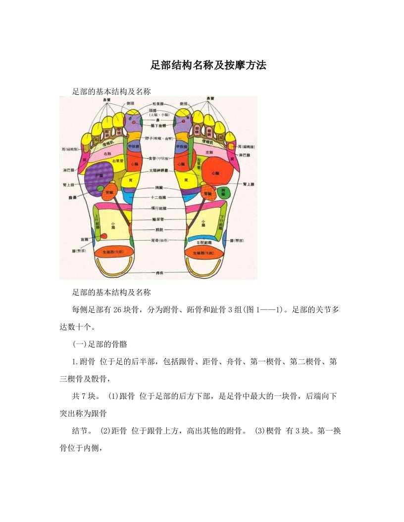 足部结构名称及按摩方法