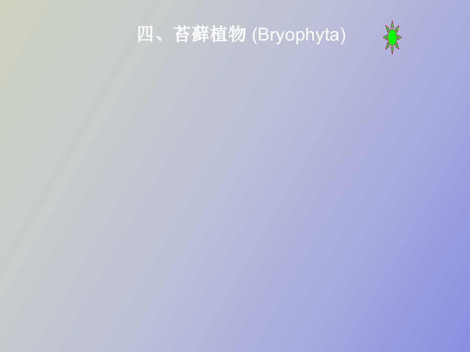 苔藓植物Bryophyta