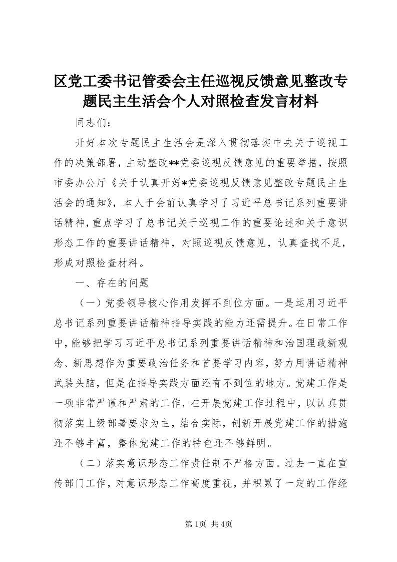 5区党工委书记管委会主任巡视反馈意见整改专题民主生活会个人对照检查讲话材料