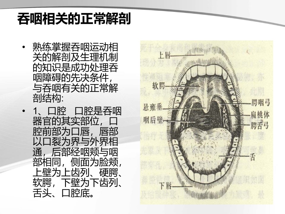 吞咽障碍要点分析