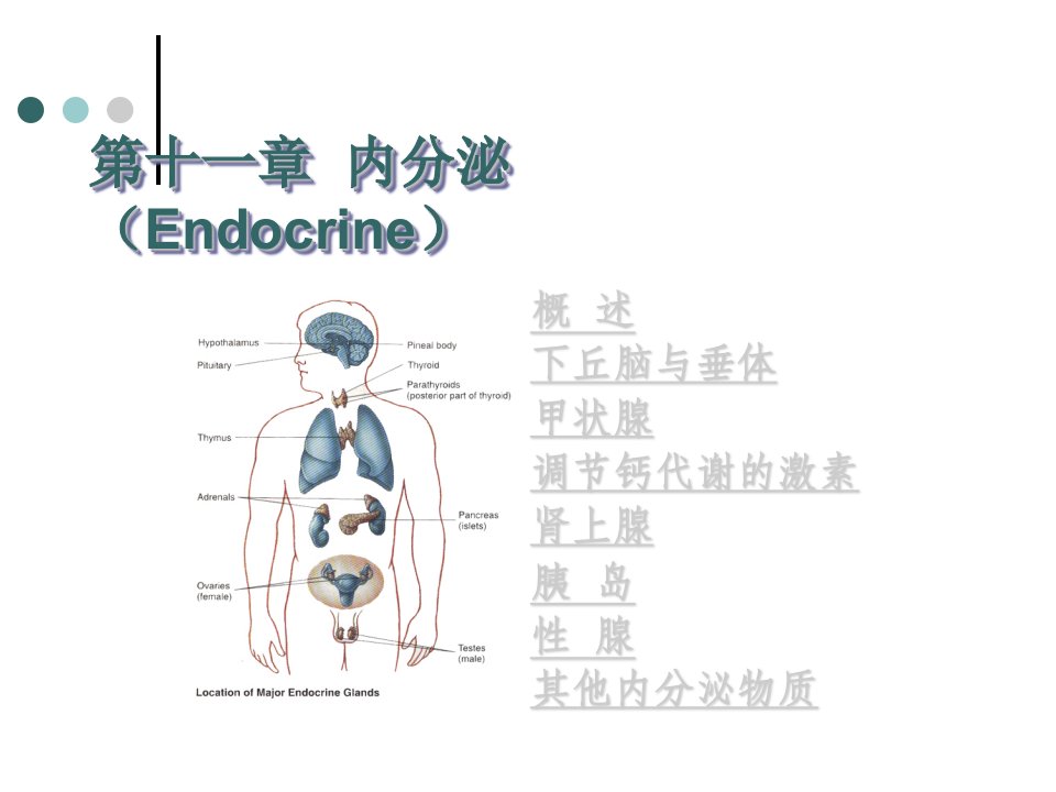 第十一章内分泌Enrine