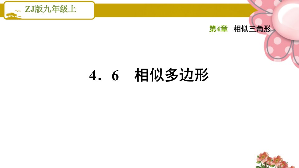 浙教版九年级数学上册《相似三角形》4.6相似多边形课件