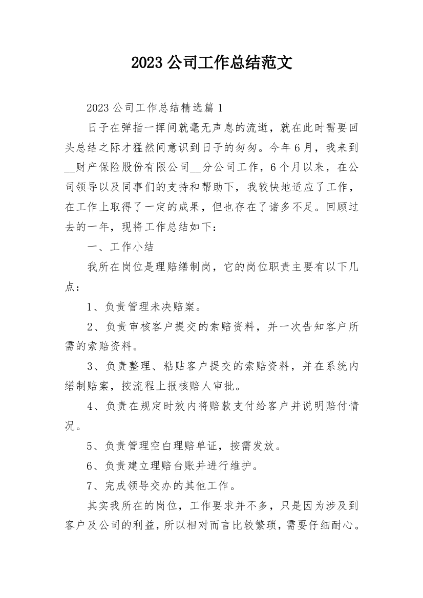 2023公司工作总结范文