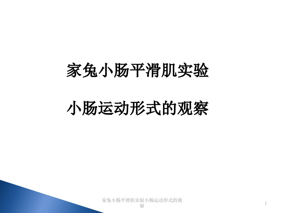 家兔小肠平滑肌实验小肠运动形式的观察课件