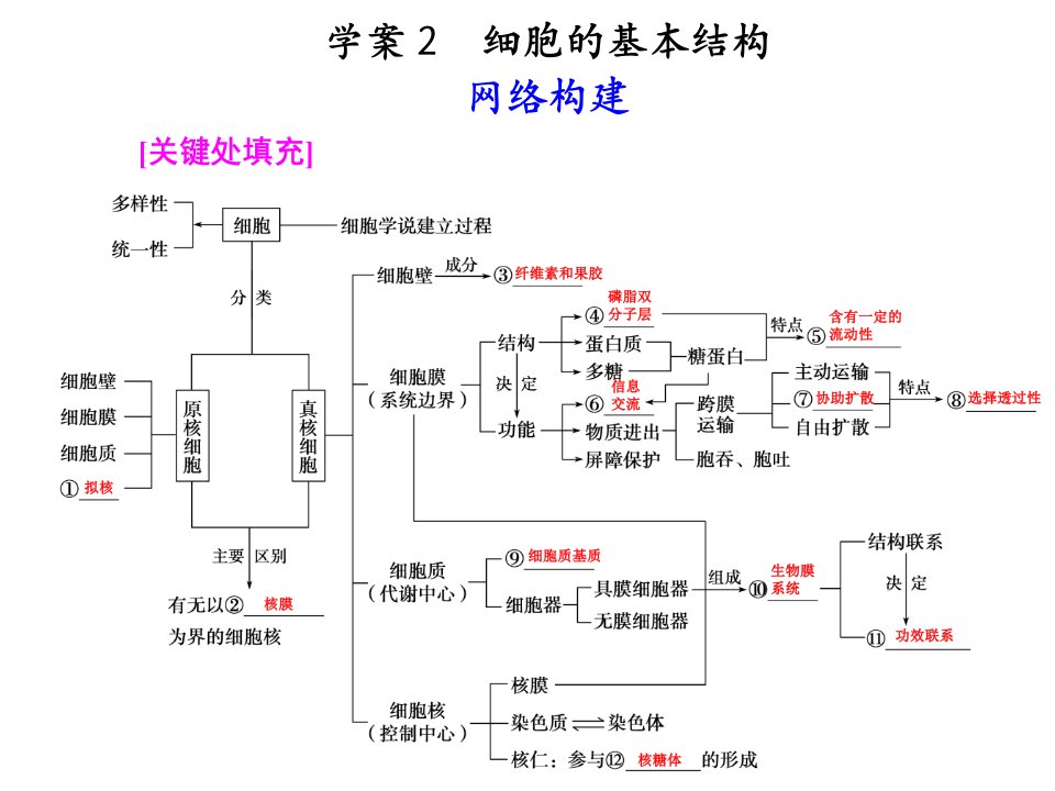 高三生物二轮复习专题一学案细胞的基本结构公开课一等奖课件省赛课获奖课件