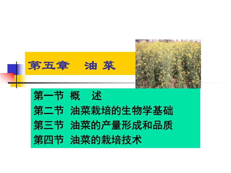 第十二章油菜栽培