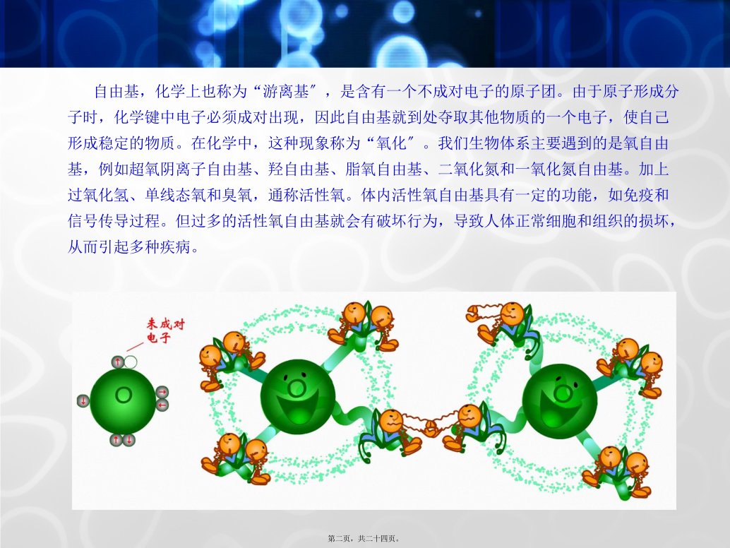 人体衰老的根源自由基剖析