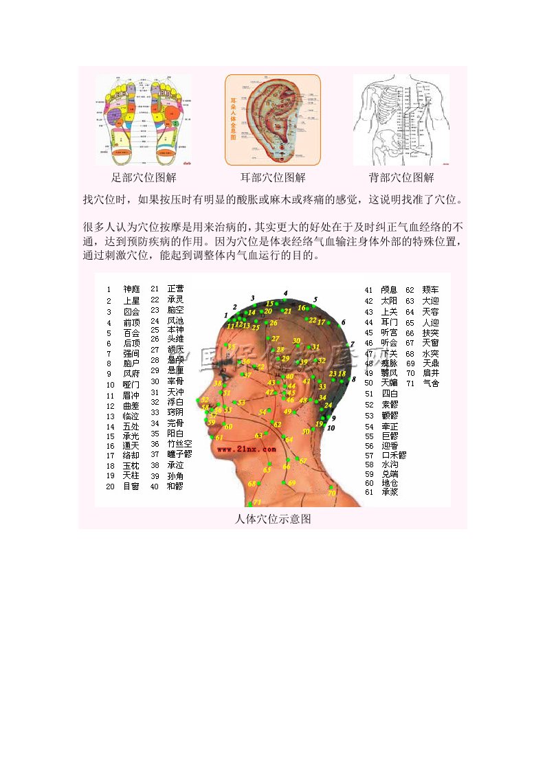 全身穴位图解